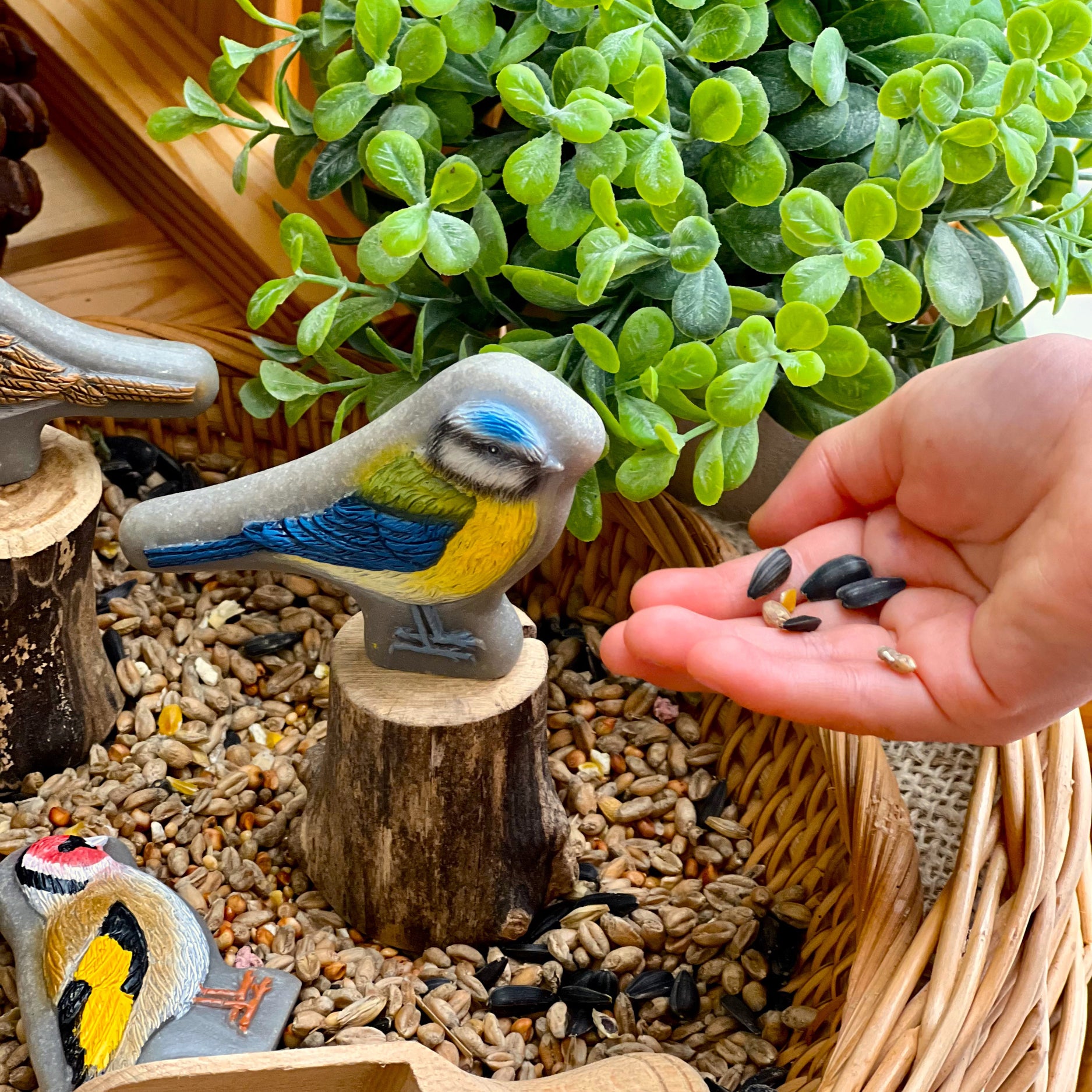 Sensory Play Stones - Birds - Set of 8