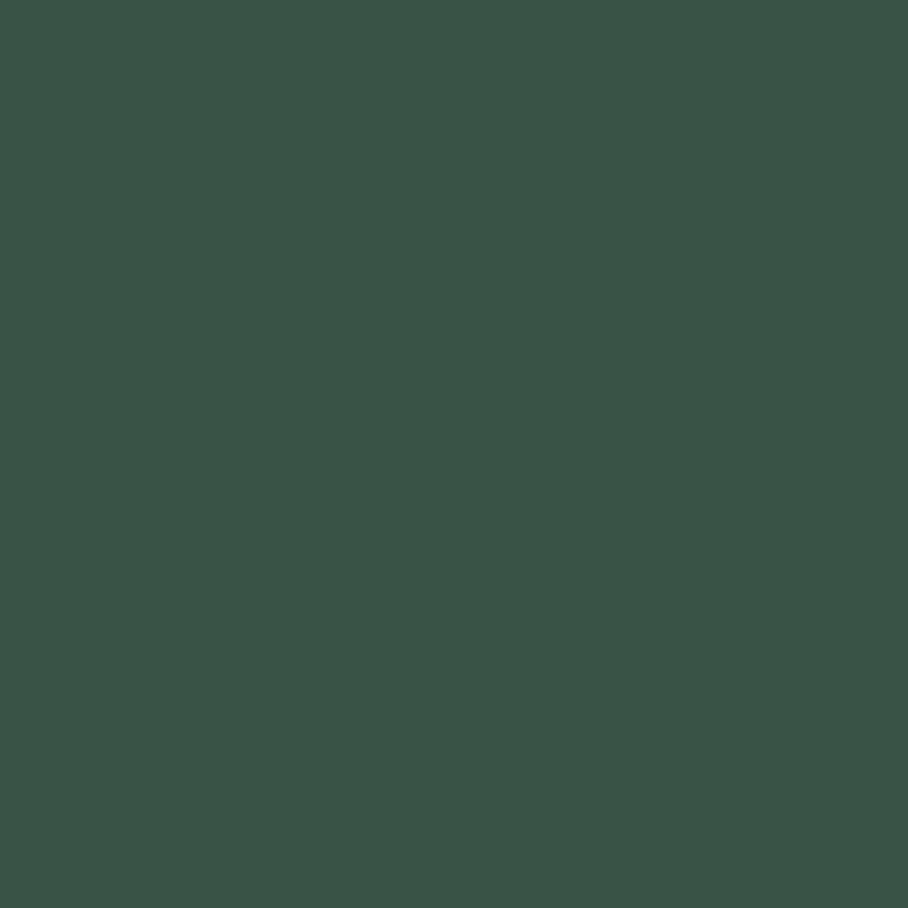 Acrylic Paint Matte, 8oz., Hunter Green