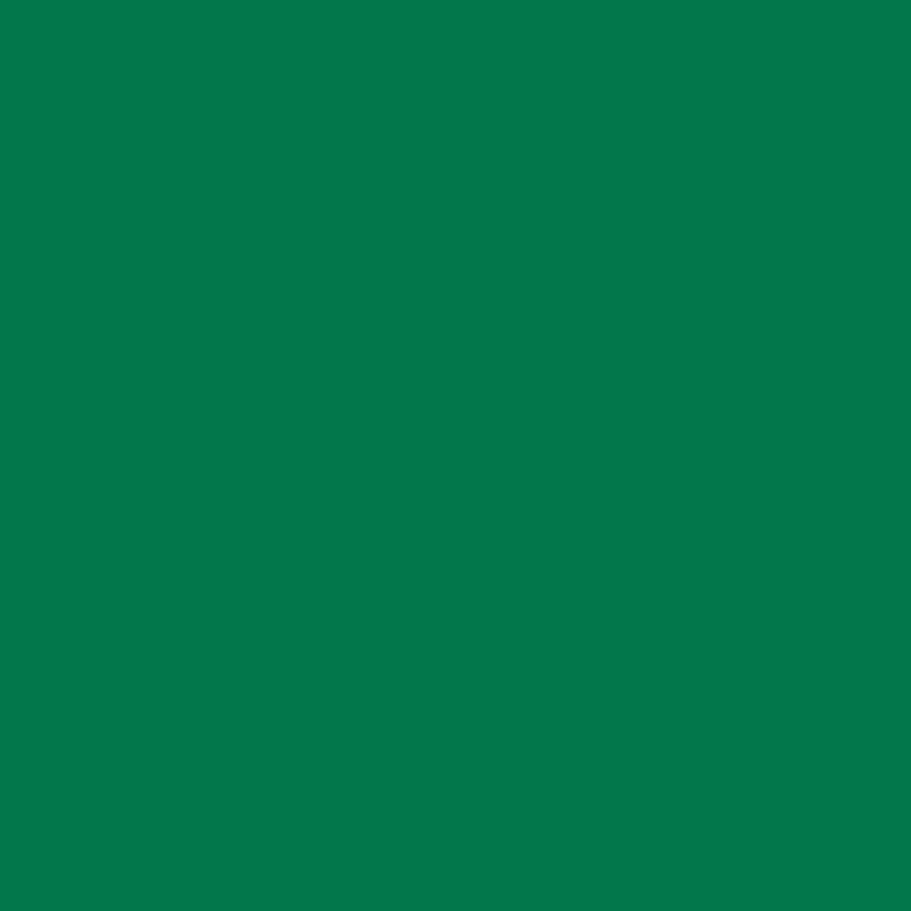 Acrylic Paint Matte, 8oz., Holly Leaf