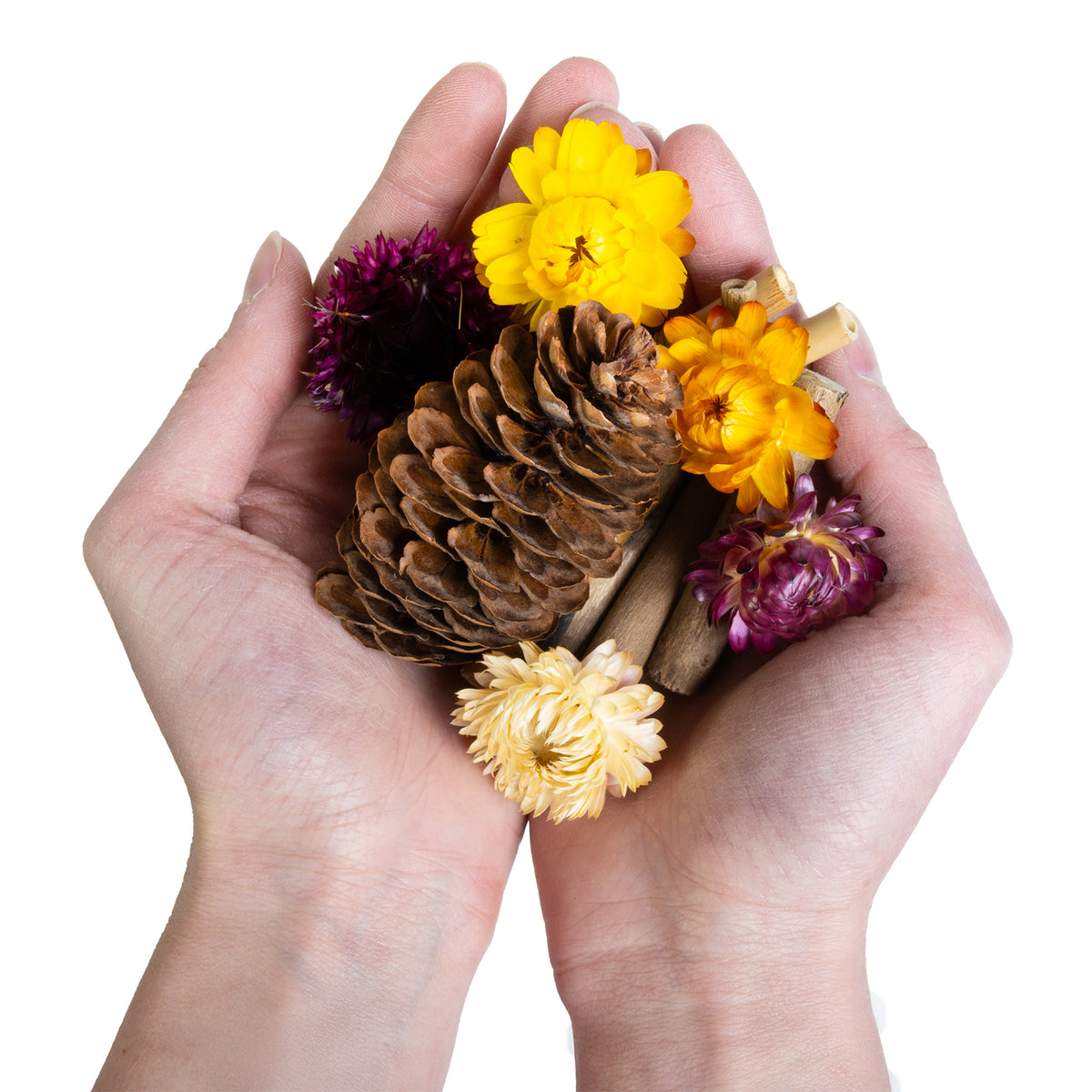 NATURALS WOODLAND WONDERS SET