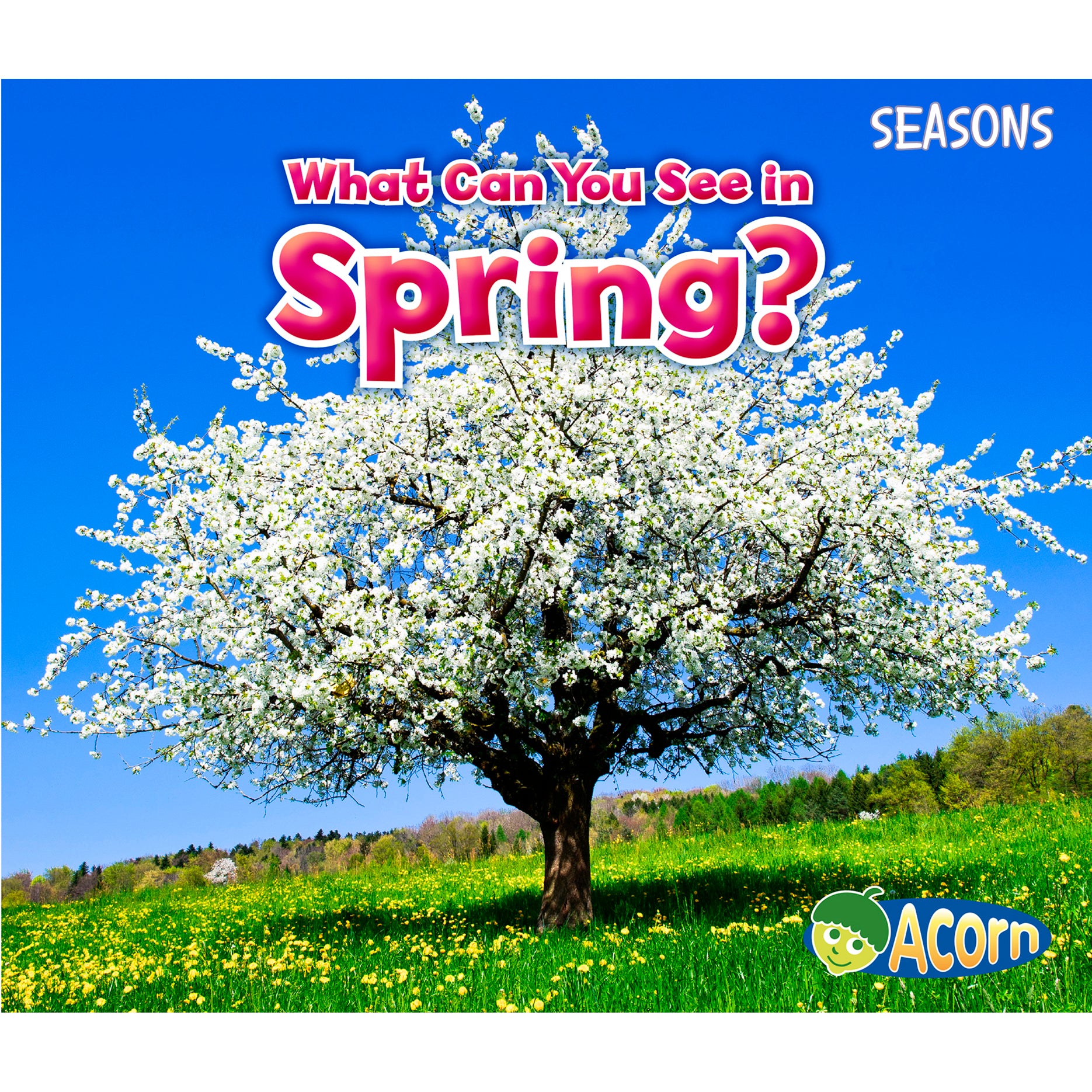 Seasons Book Set, Set of 4 titles