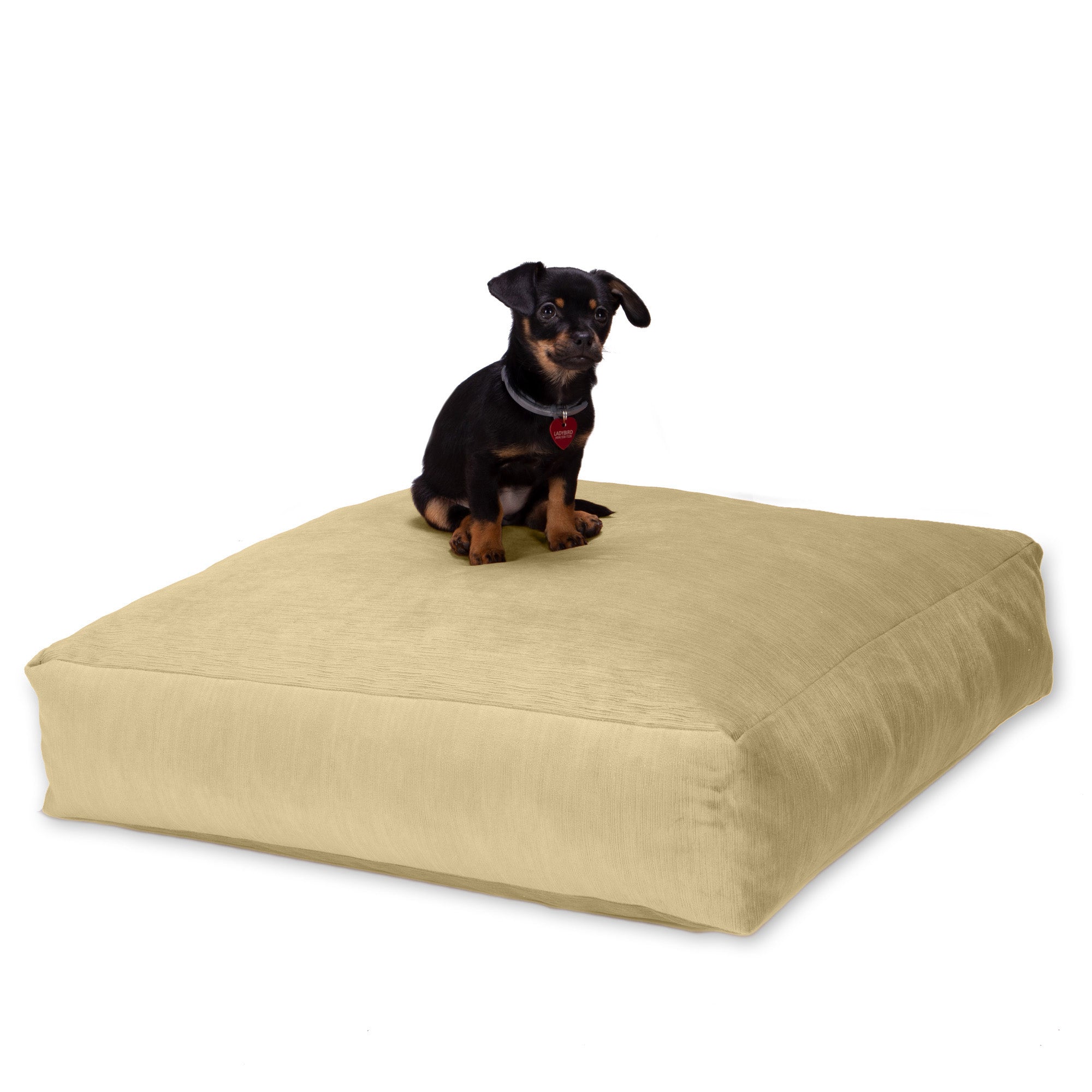 Jaxx Brio Large Décor Floor Pillow/Meditation Yoga Cushion, Plush Microvelvet, Camel