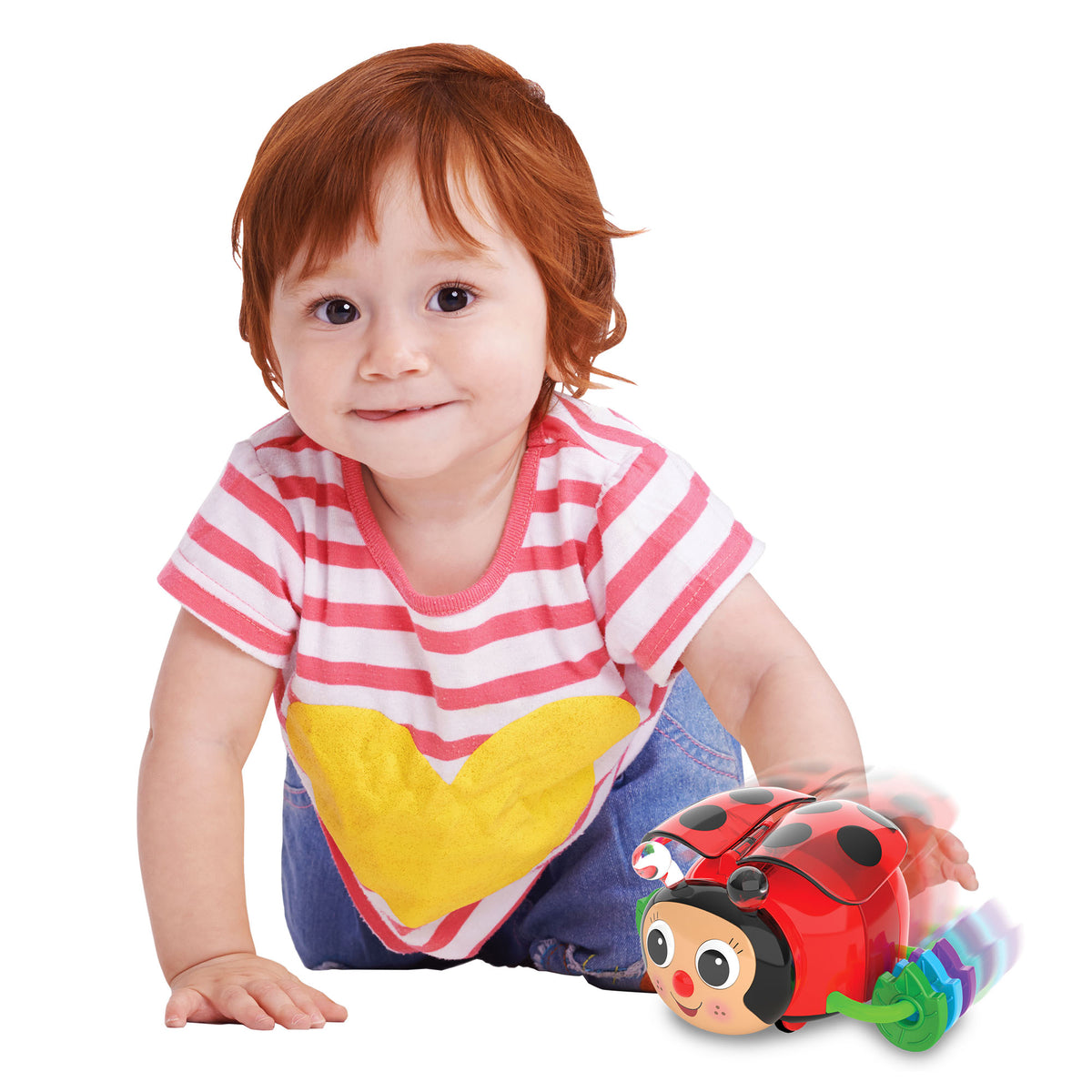 CRAWL ABOUT - LADYBUG