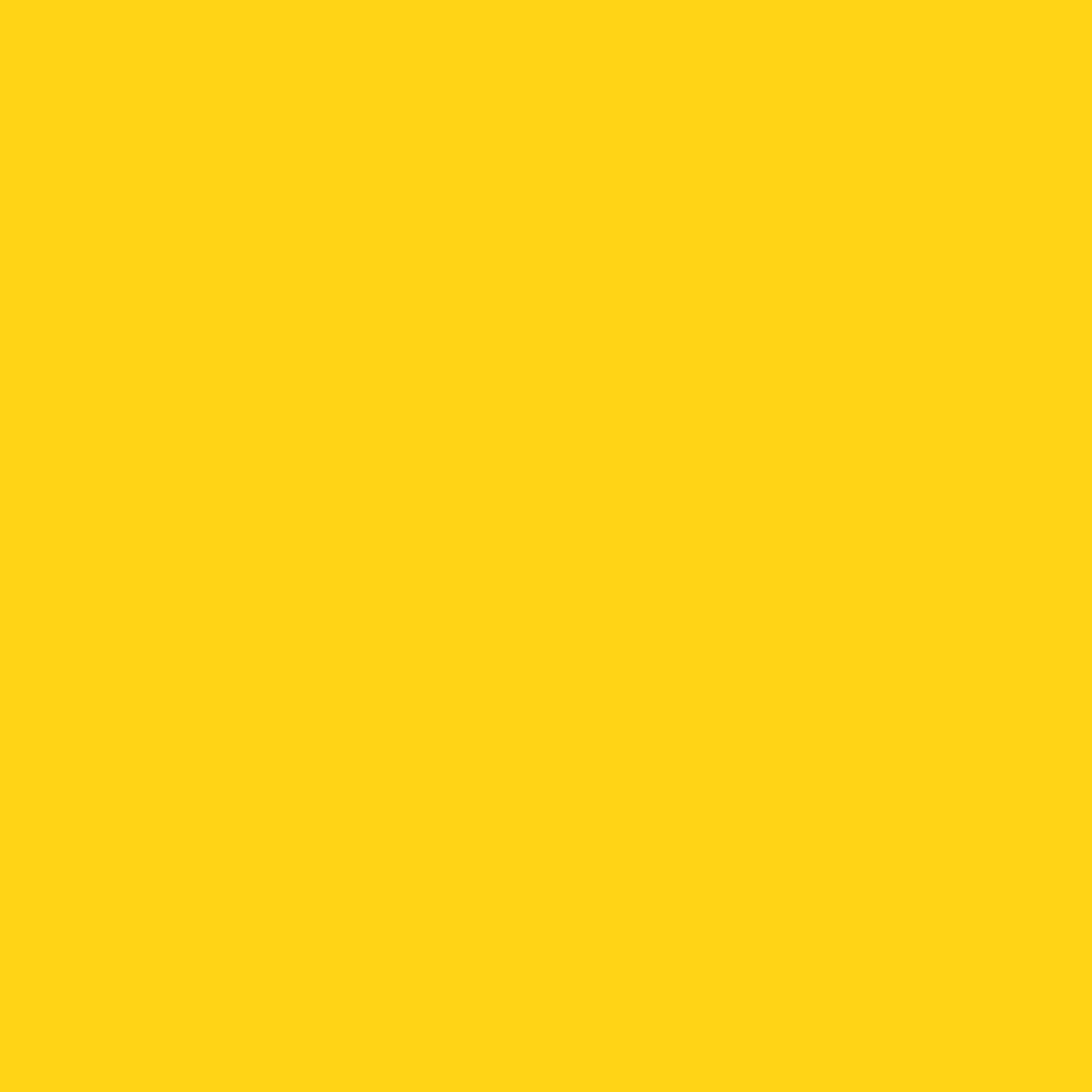 Acrylic Paint Matte, 16oz., Bright Yellow