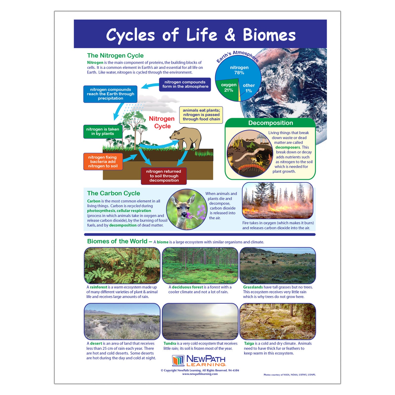 Cycles of Life & Biomes Learning Center