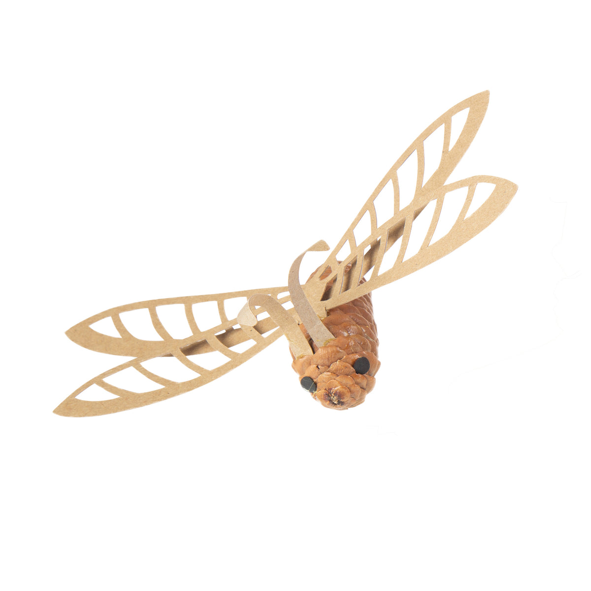 NATURALS WOODLAND WONDERS SET