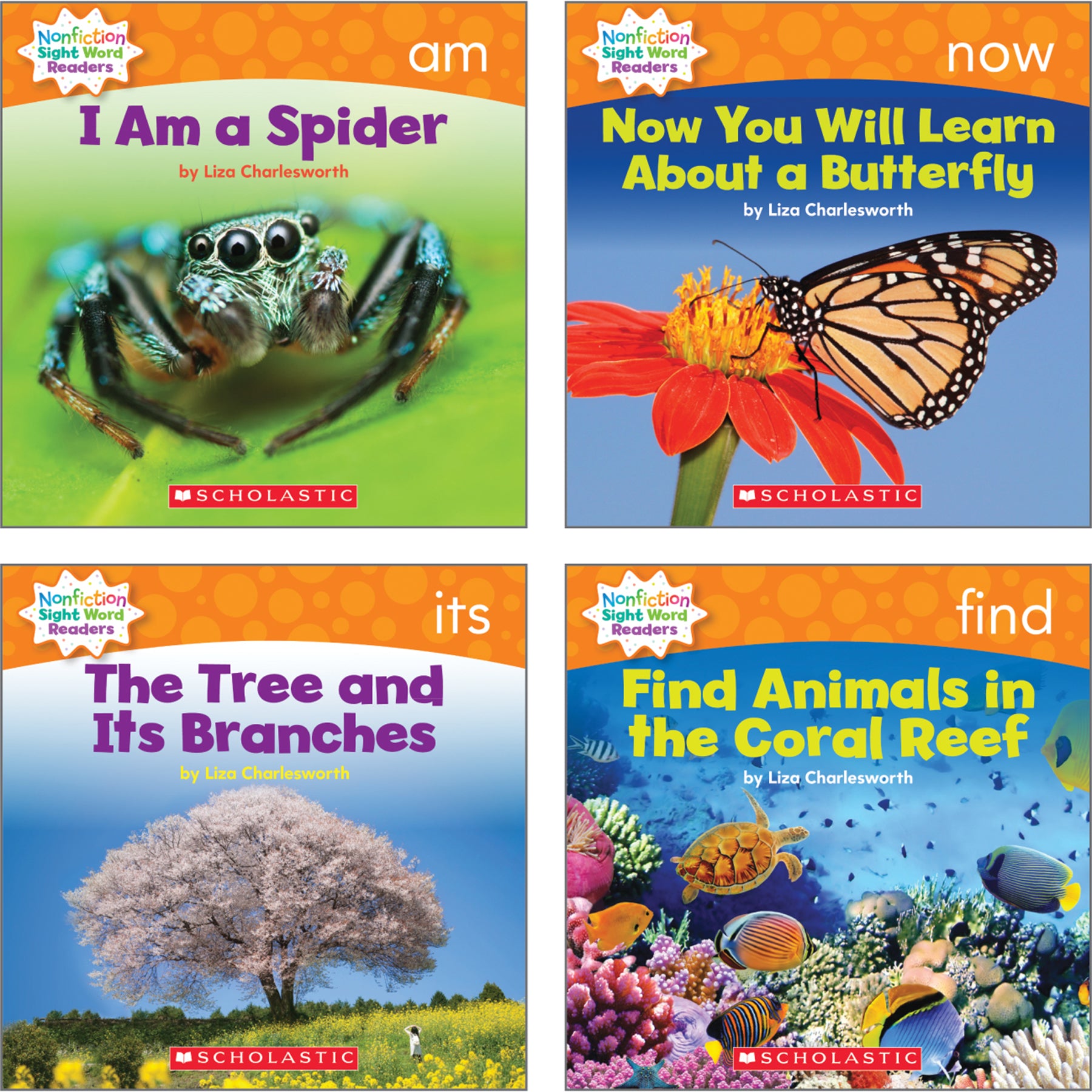 Nonfiction Sight Word Readers Classroom Tub, Level D, 6 Copies of 25 Titles