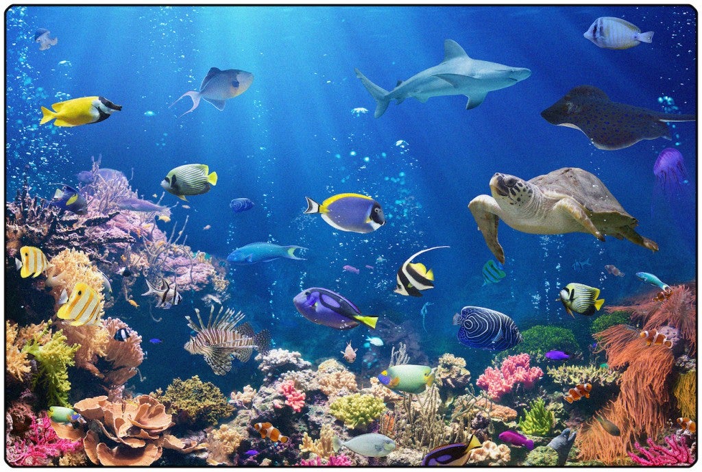 Explore the Ocean Rug - 6ft x 9ft - Rectangle - Blue