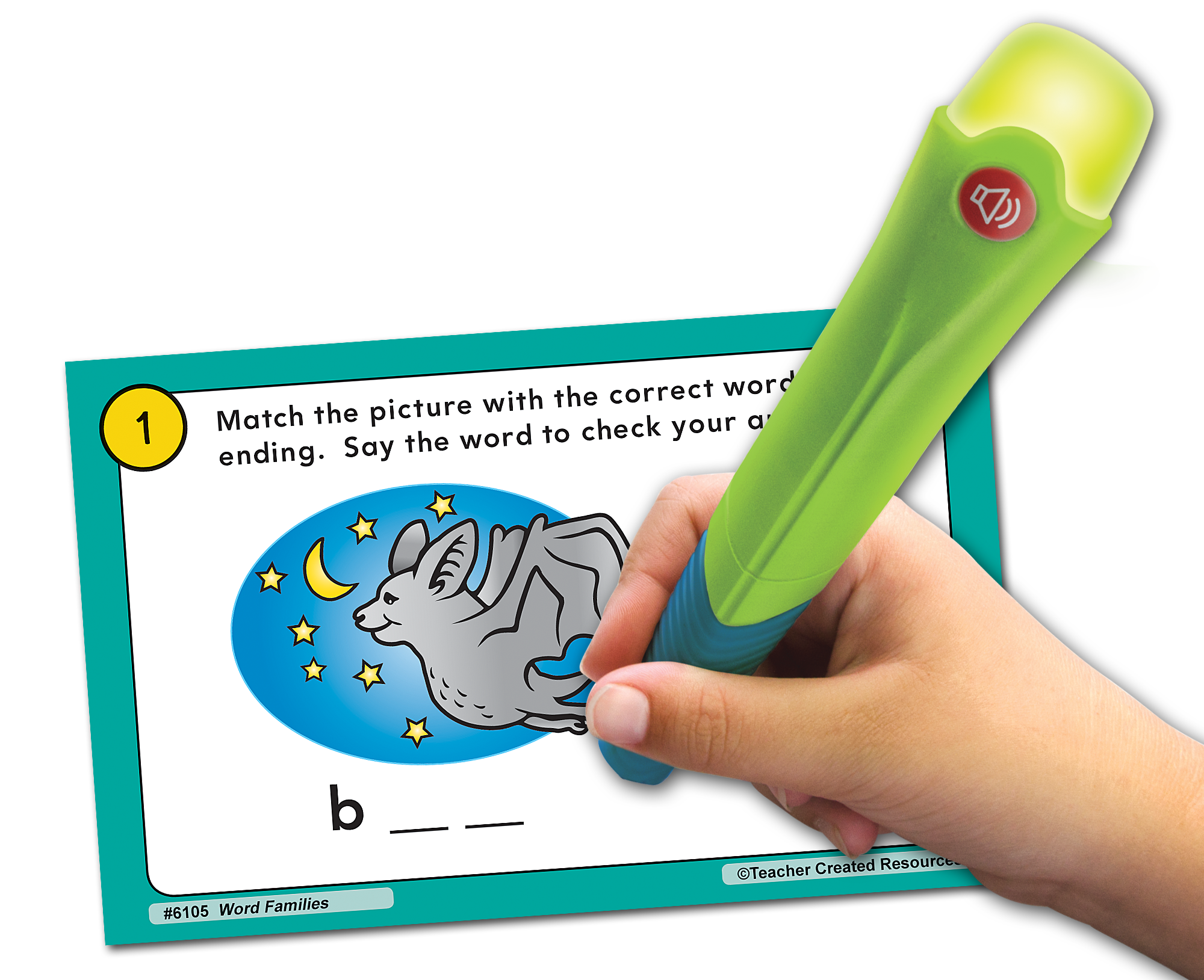 Power Pen® Learning Cards: Word Families