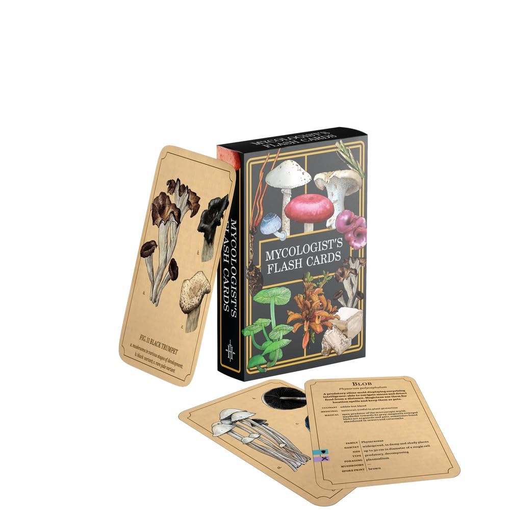 Ultimate Guard - Zipfolio 360 Xenoskin - Magic: The Gathering - Lorwyn Eclipsed - Plains