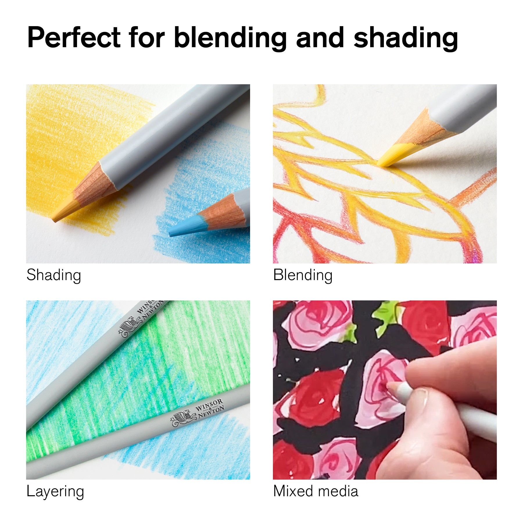 WN Studio Collection Colour Pencil Tin - 12pc