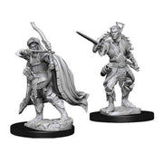 D&D Nolzur's Marvelous Miniatures - Male Elf Rogue