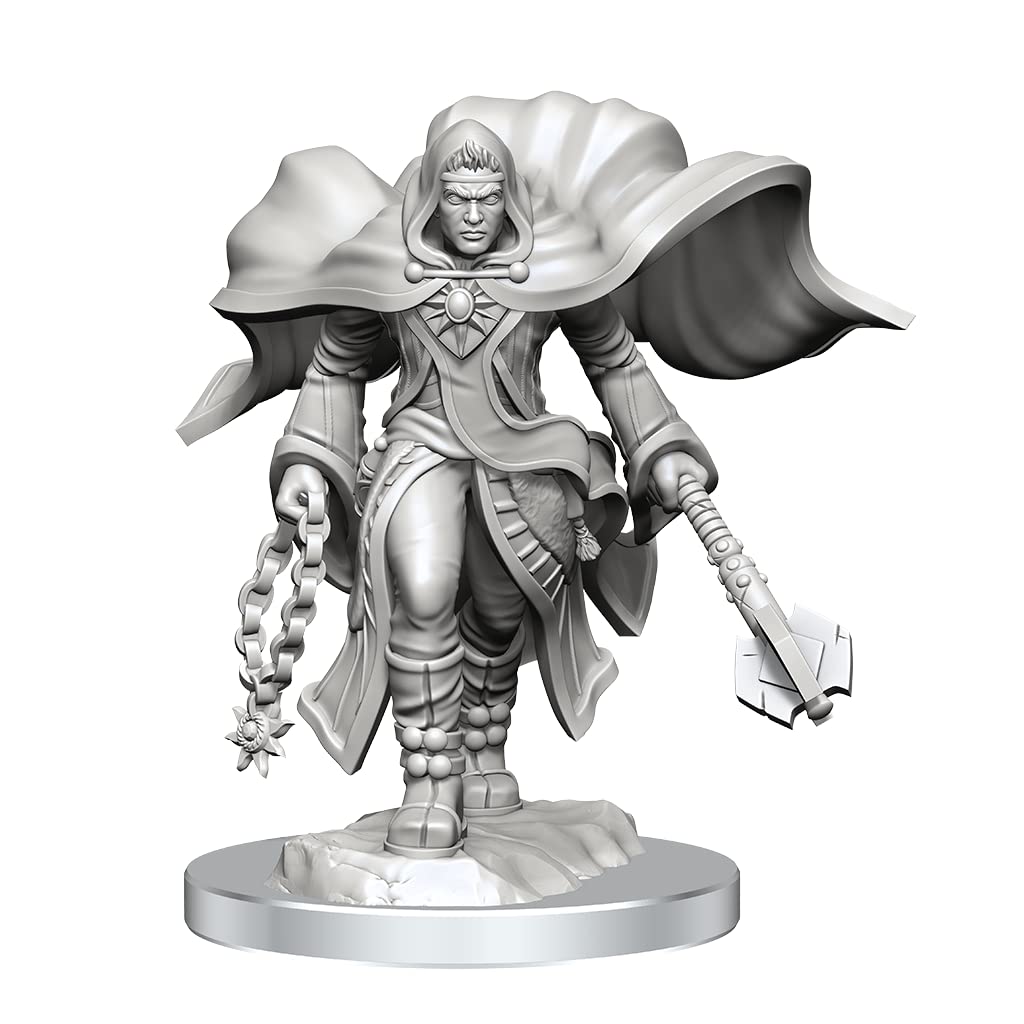 WizKids D&D Nolzur's Marvelous Miniatures: Aasimar Cleric Male