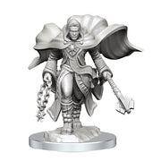WizKids D&D Nolzur's Marvelous Miniatures: Aasimar Cleric Male