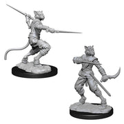 D&D Nolzurs Marvelous Unpainted Miniatures: Wave 7: Male Tabaxi Rogue
