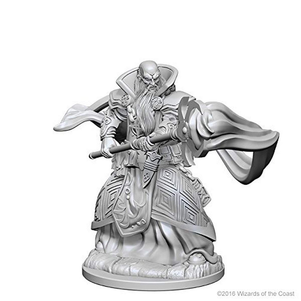 D&D Nolzur’s Marvelous Miniatures: Human Male Wizard