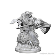 D&D Nolzur’s Marvelous Miniatures: Human Male Wizard