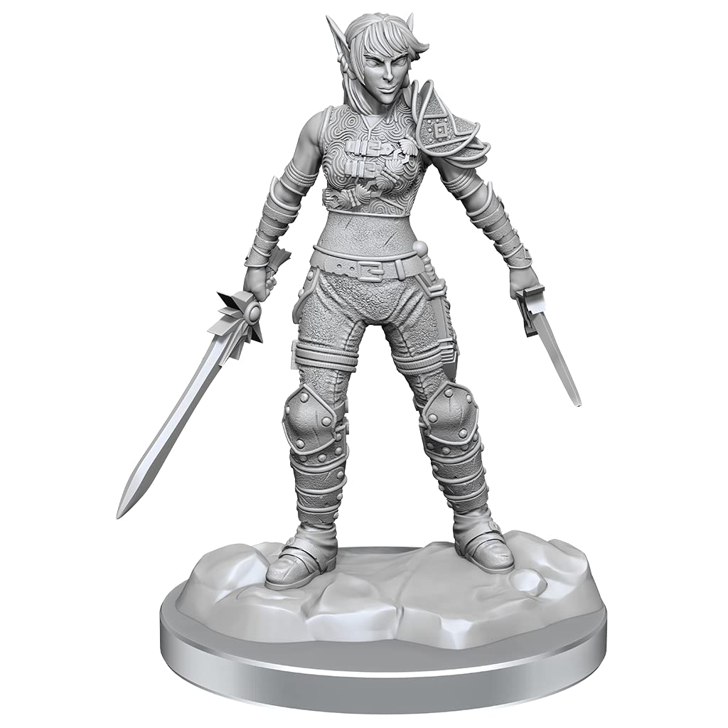 WizKids D&D Nolzur's Marvelous Miniatures: Elf Rogue & Half-Elf Rogue Protégé