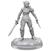 WizKids D&D Nolzur's Marvelous Miniatures: Elf Rogue & Half-Elf Rogue Protégé