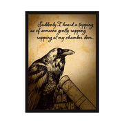 Card Sleeves Legion Events Standard CCG Size - Raven 2019 (50)