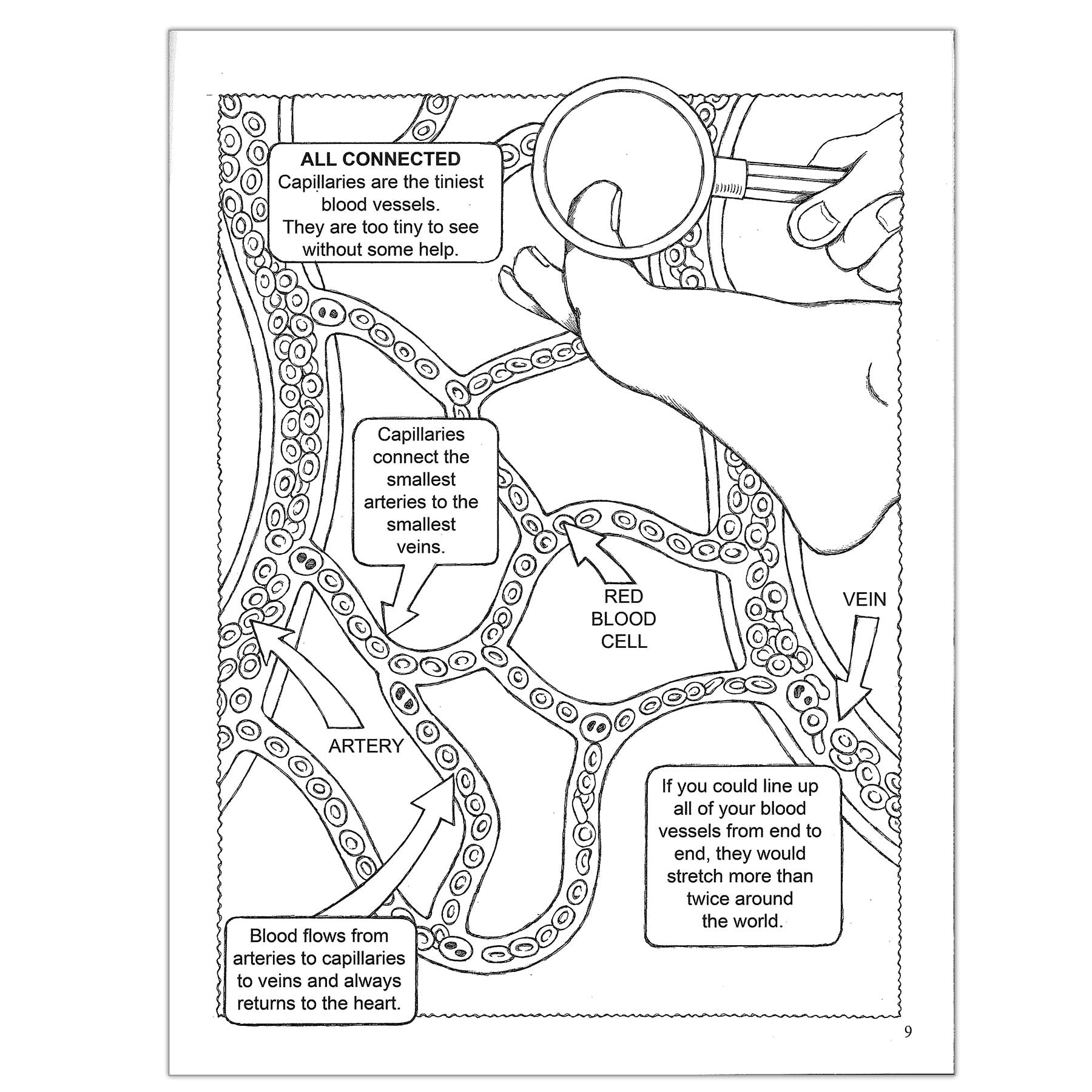 My First Human Body Coloring Book