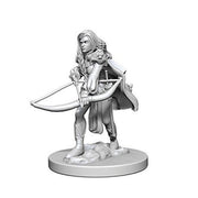 Mini - Pathfinder Deep Cuts : Human Fighter (Female)