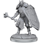 Dungeons & Dragons Nolzur`s Marvelous Unpainted Miniatures: W18 Dragonborn Clerics