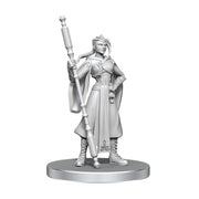 Critical Role Unpainted Miniatures | Tabletop RPG Figures | Wave 26 (Beauregard Lionett & Caleb Widogast)