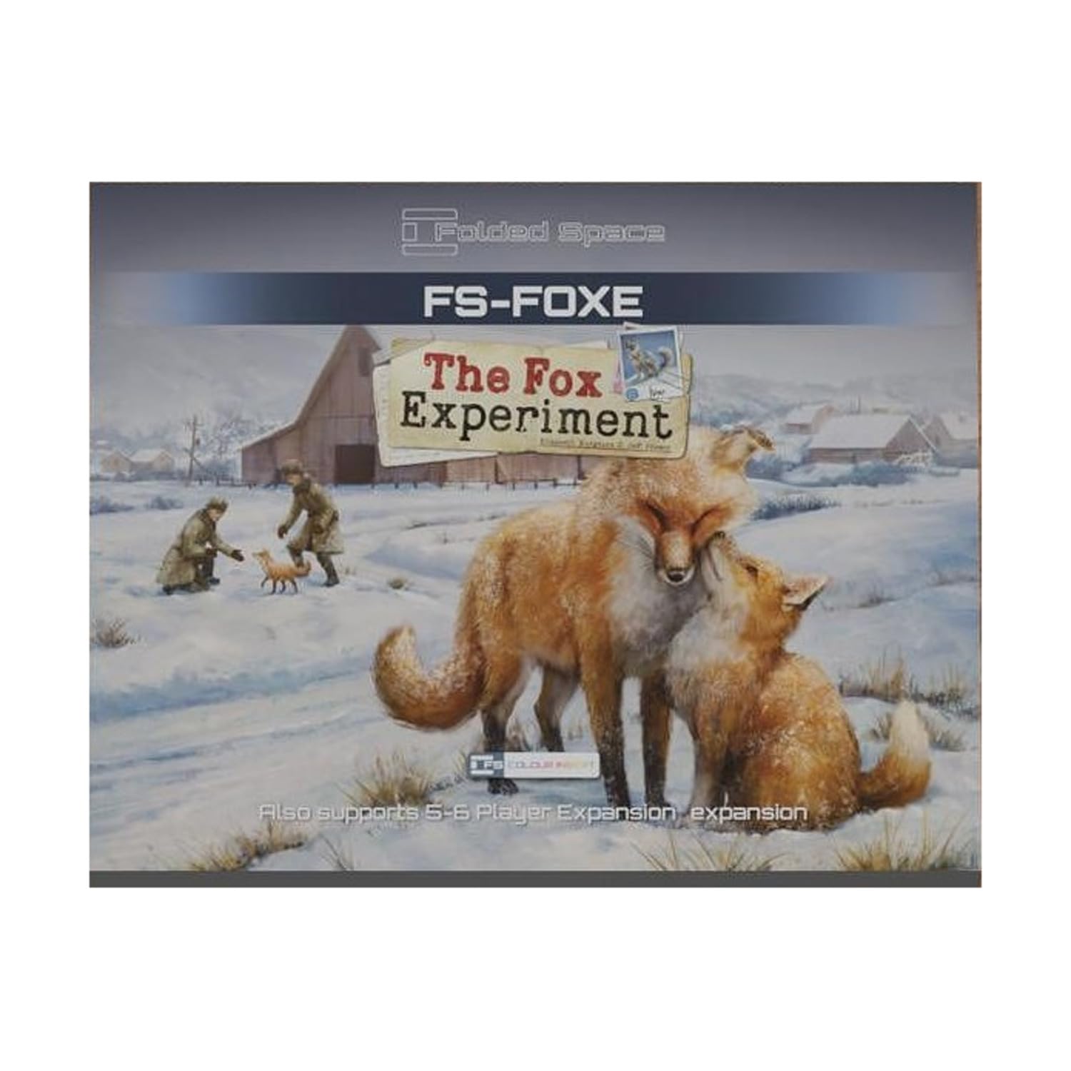 Folded Space Colour Game Inserts - Fox Experiment