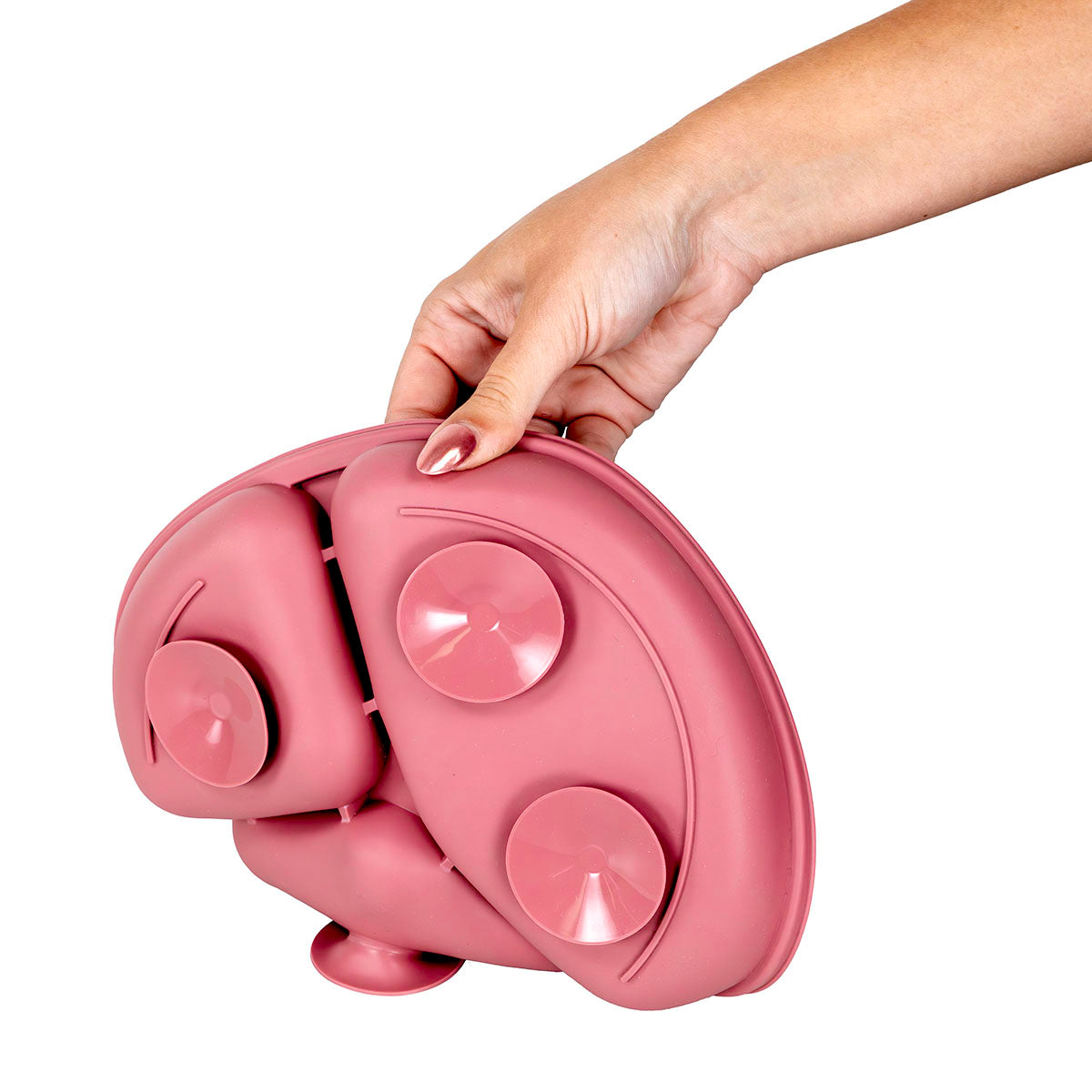 FabLife Partitioned Suction Bottom Scoop Dish with Cover, Red, Diameter (7.79" / 19.8 cm)