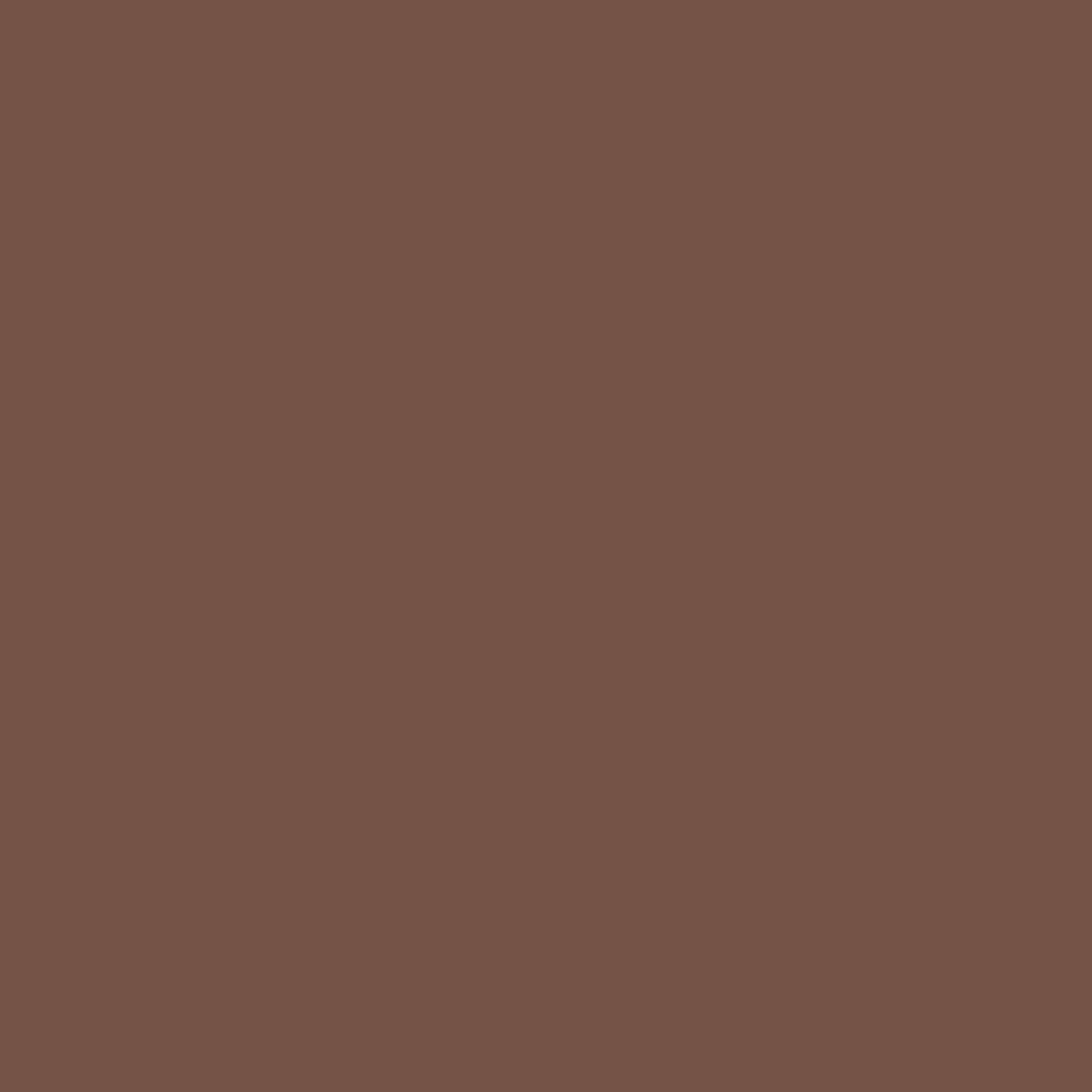 Acrylic Paint Matte, 16oz., Brown Oxide