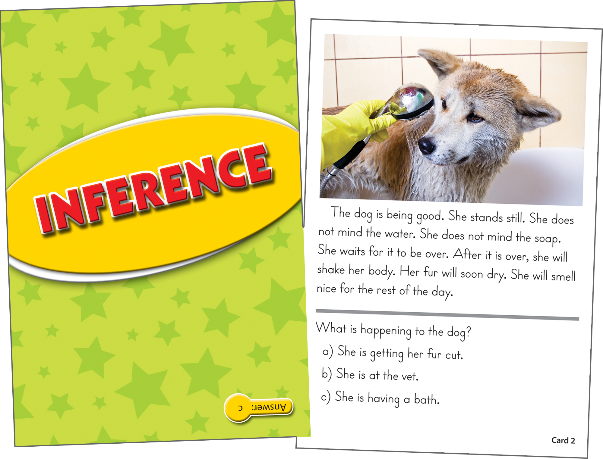 Reading Comprehension Practice Cards: Inference (Yellow Level)