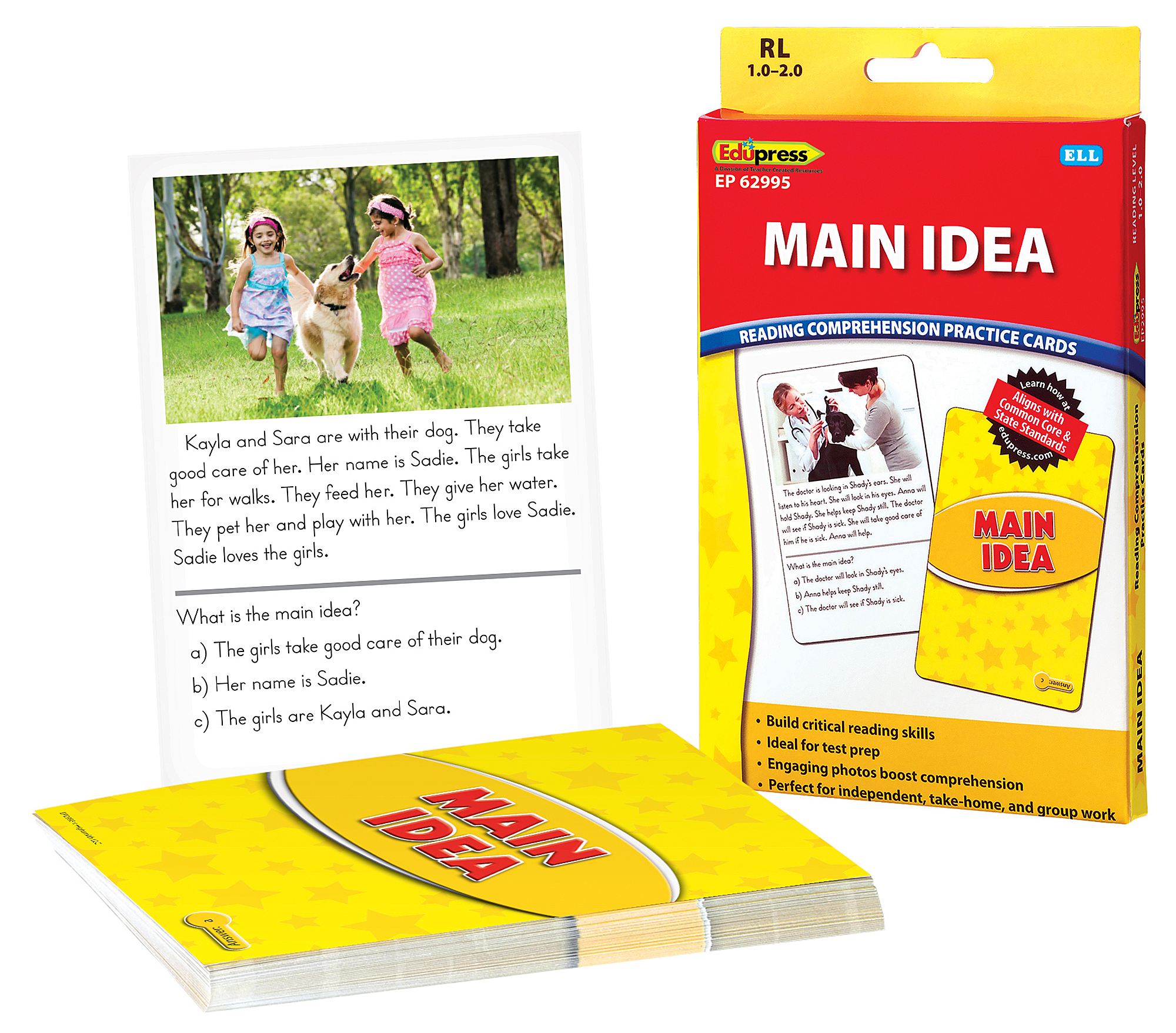 Reading Comprehension Practice Cards: Main Idea (Yellow Level)