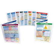 Mastering Math Skills - Grades 8 - 10 Visual Learning Guides Collection - Set 0f 10