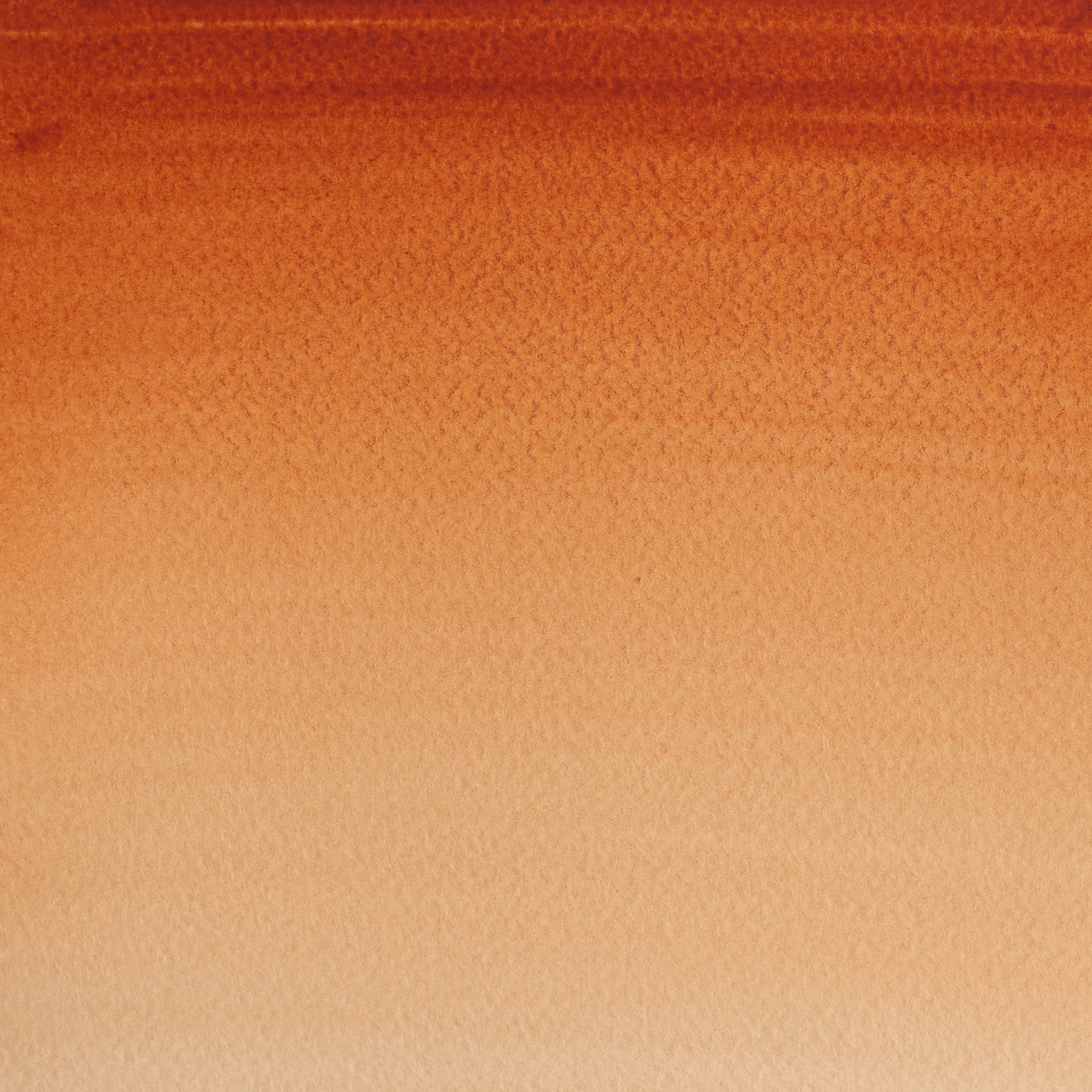 CWC 8ml tube - Burnt Sienna