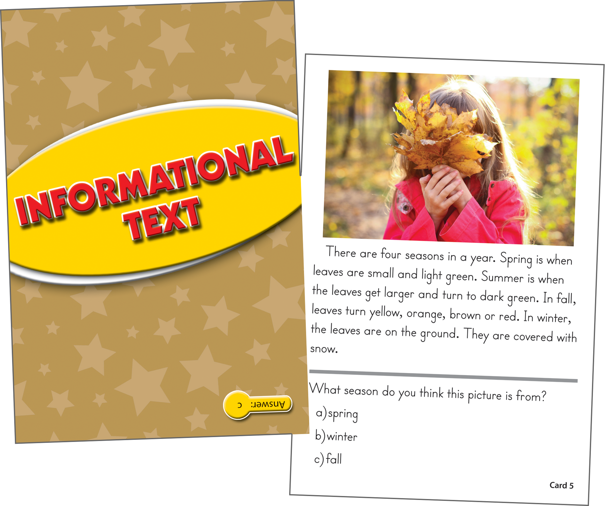 Reading Comprehension Practice Cards: Informational Text (Yellow Level)