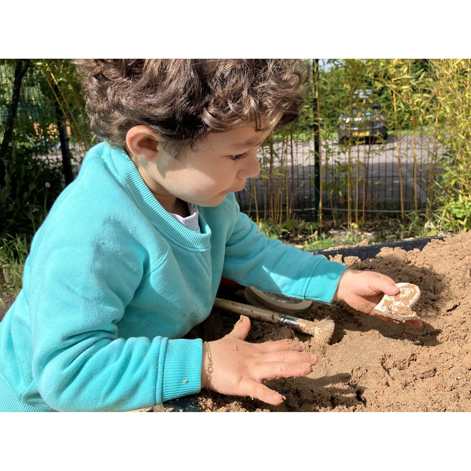 Dig and Discover - Ankylosaurus & Tyrannosaurus Rex