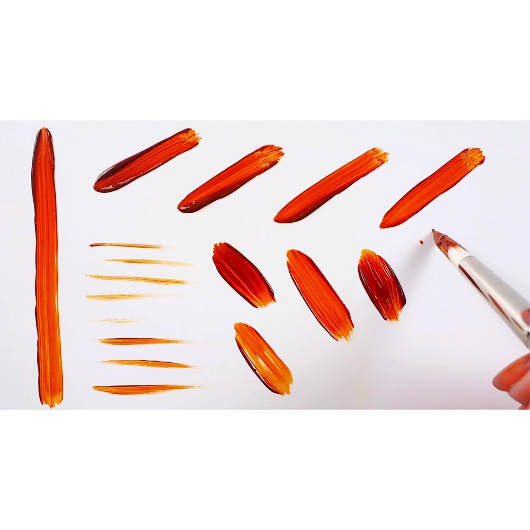 Bristlon Round Brushes, Set of 7