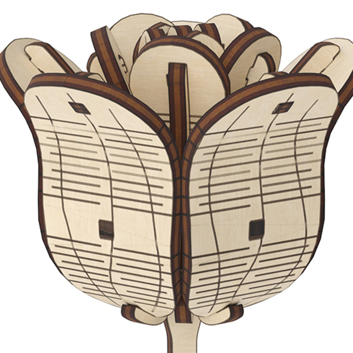 ROSE WOOD BUILDING SET