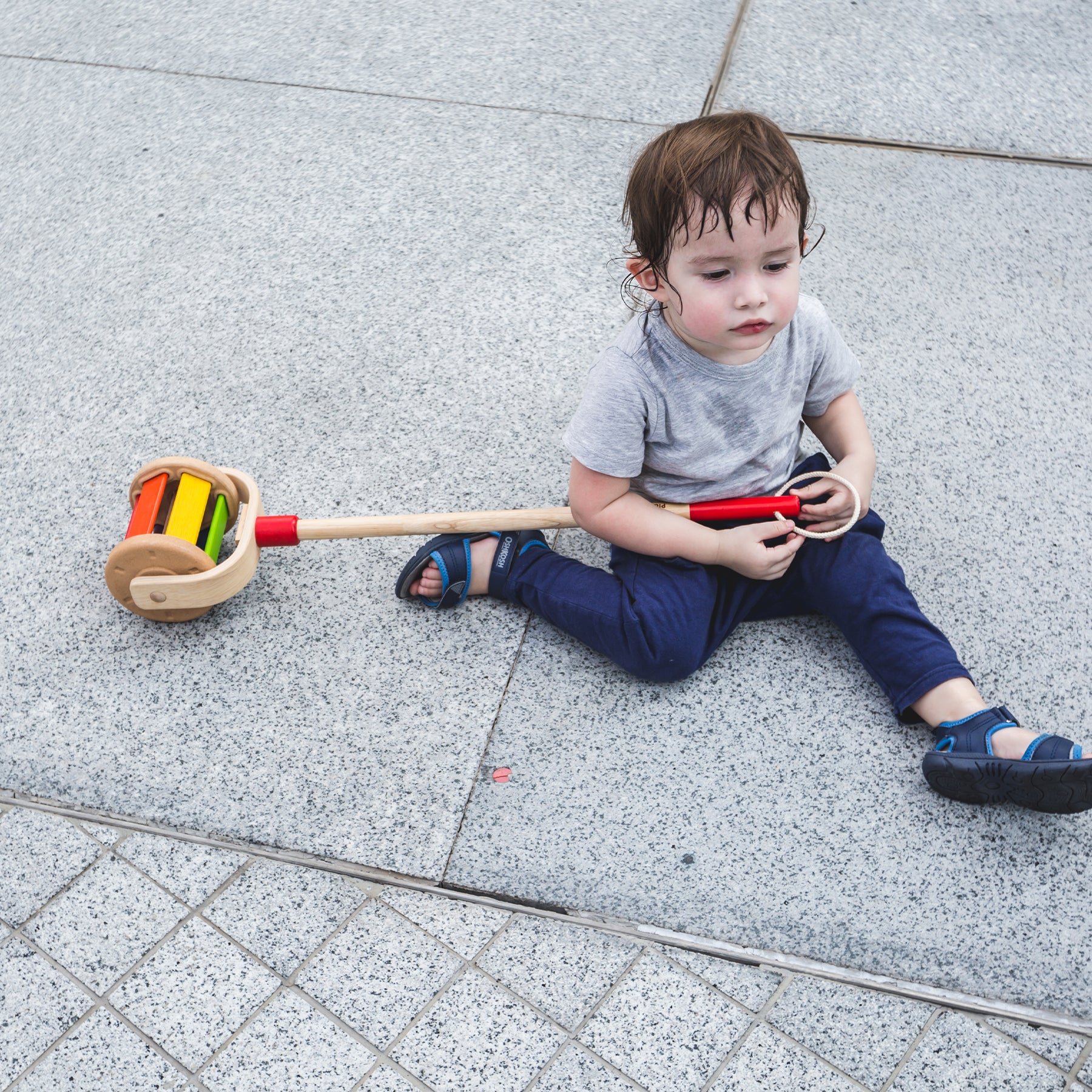 Walk N Roll Wooden Push & Pull Toy