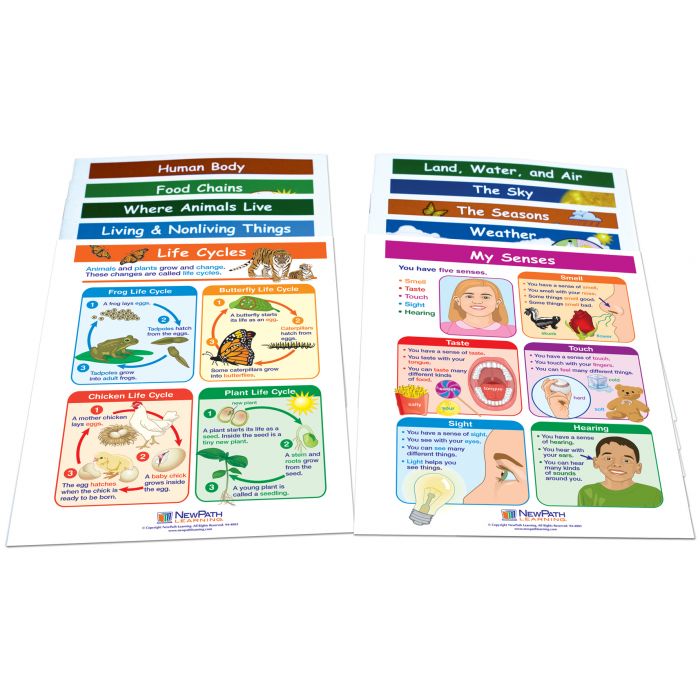 Mastering Science Skills - Grade 1 Visual Learning Guides Collection - Set 0f 10