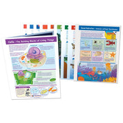 Mastering Science Skills - Grade 4 Visual Learning Guides Collection - Set 0f 10