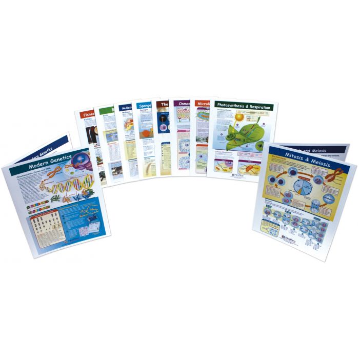 Mastering Life Science Skills - Middle School Visual Learning Guides Collection - Set 0f 10