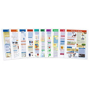 Mastering Physical Science Skills - Middle School Visual Learning Guides Collection - Set 0f 10