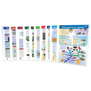Six Kingdoms of Life Visual Learning Guides Collection - Set 0f 10