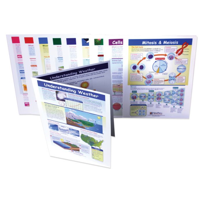 Mastering Science Skills - Grade 7 Visual Learning Guides Collection