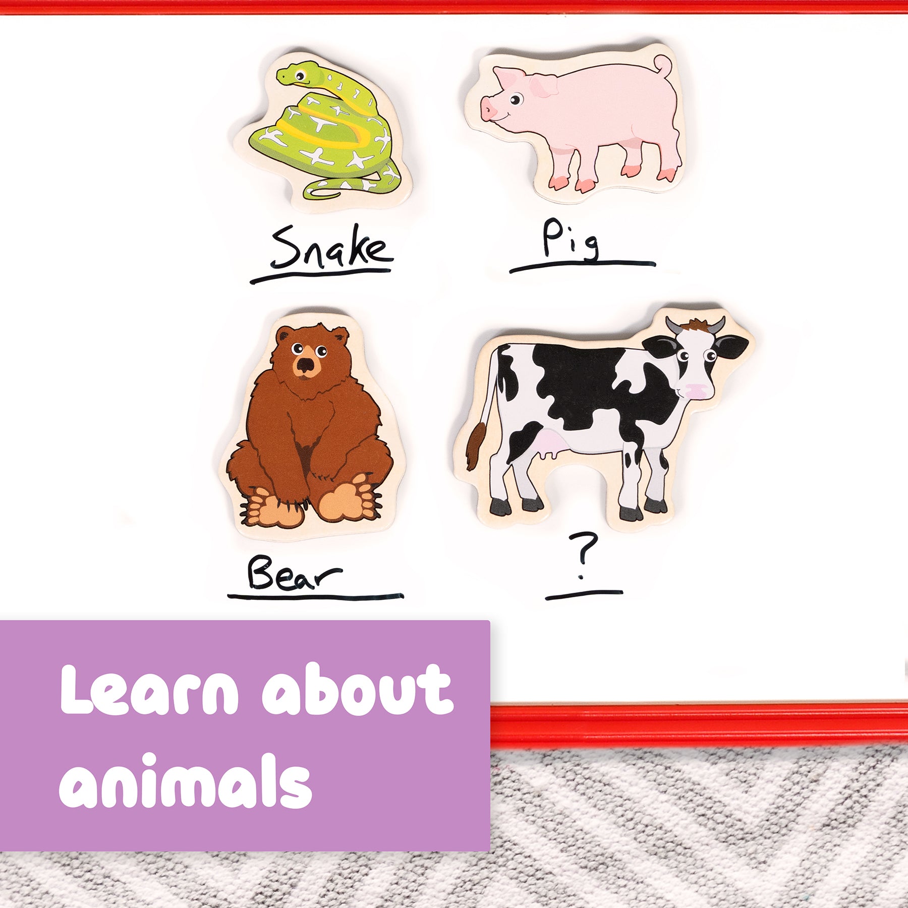 Wooden Magnets- Animals - Set of 20