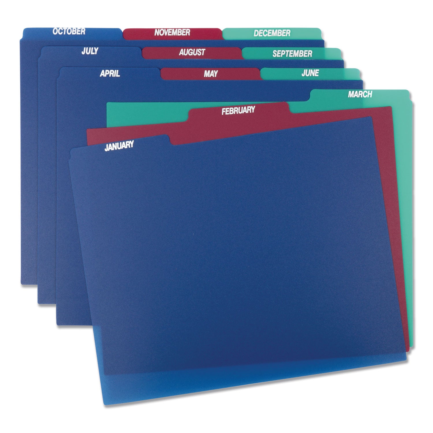 Printed Tab(s) - Month - January-December - 8.5" Divider Width x 11" Divider Length - Letter - Assorted Polypropylene Divider - Assorted Tab(s) - Tear Resistant, Wear Resistant, Moisture Resistant - 12 / Set