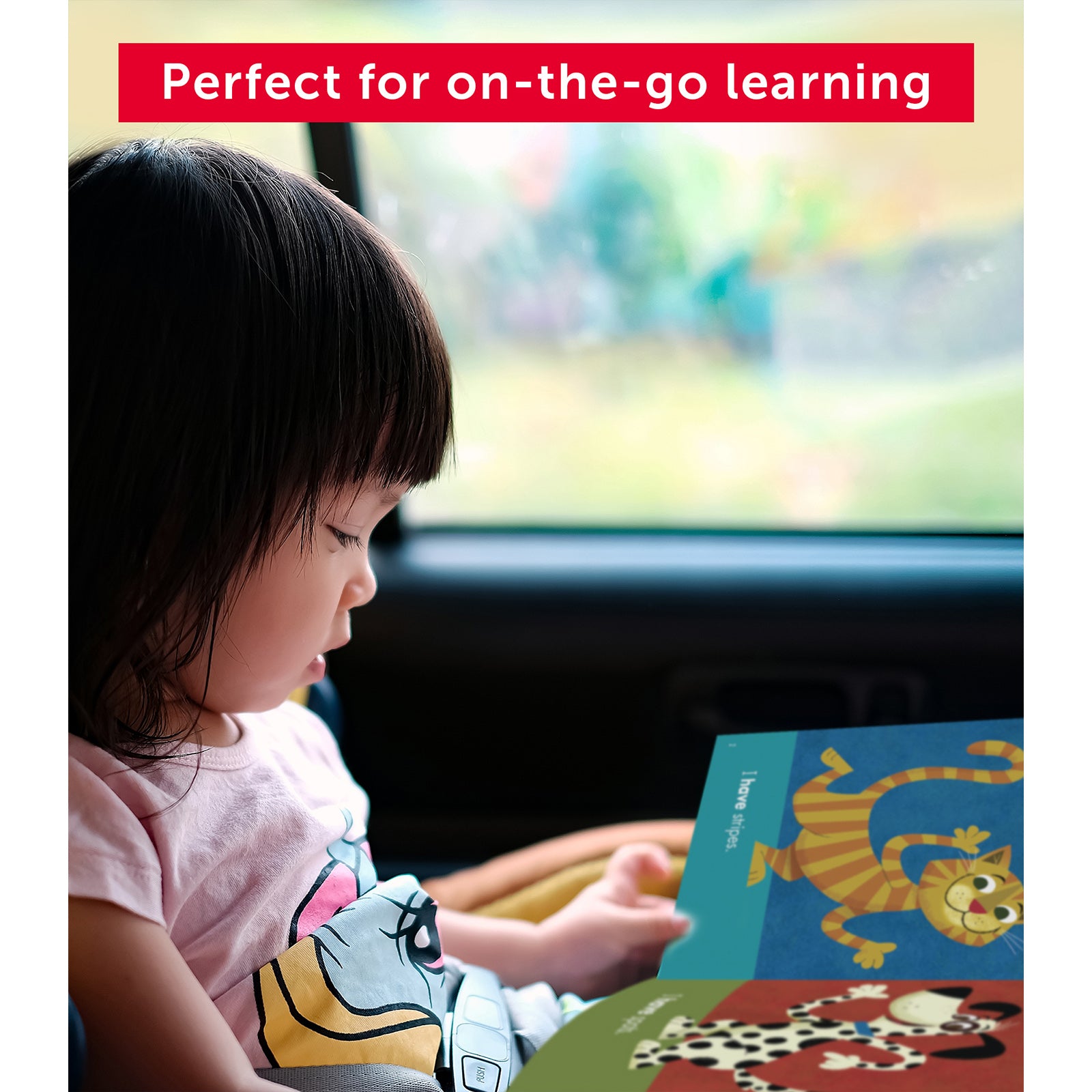 Sight Word Stories: Level A (Parent Pack)