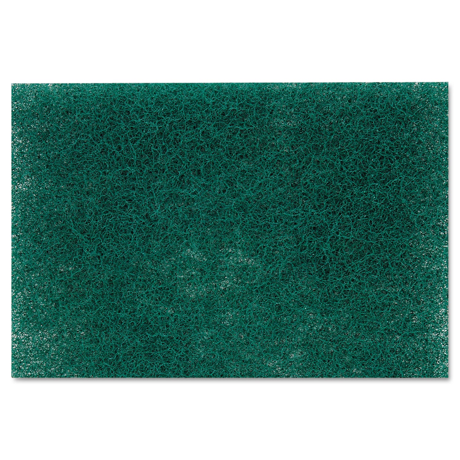 Scotch-Brite Heavy-Duty Scouring Pad - 9" Height x 6" Width - 1 Dozen - Synthetic Fiber, Resin - Green